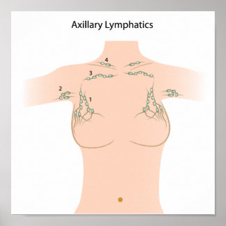Axillary lymph nodes Poster