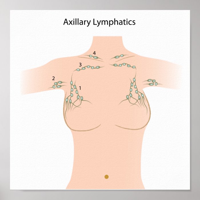 Axillary lymph nodes Poster