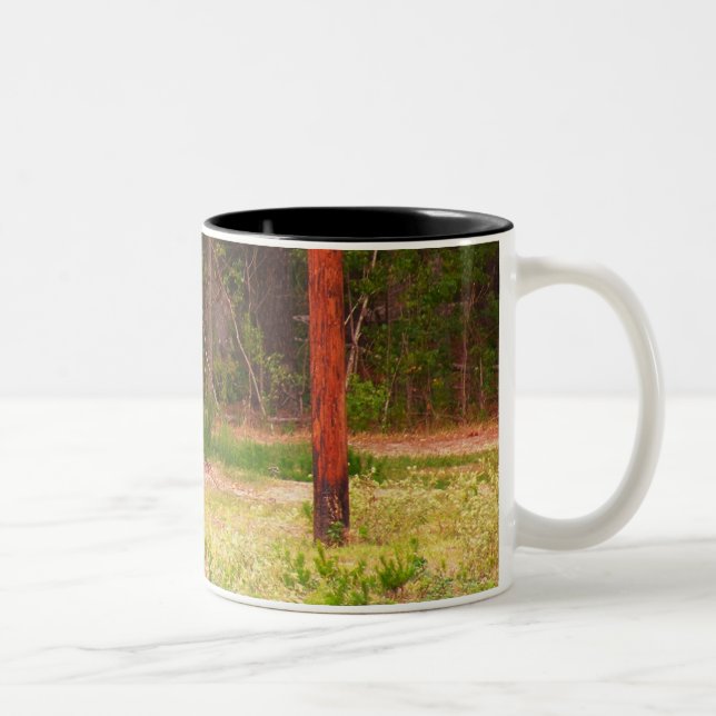 Axis deer Mug (Right)