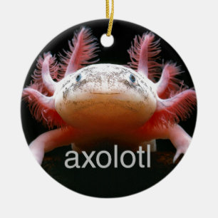 Axolotl Axolotl Axolotl Axolotl Ceramic Ornament