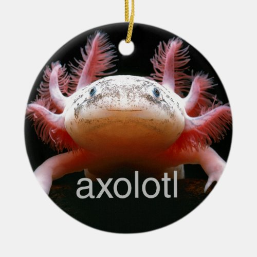 Axolotl Axolotl Axolotl Axolotl Ceramic Ornament