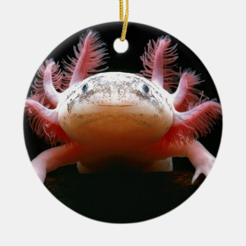 Axolotl Axolotlpng Ceramic Ornament