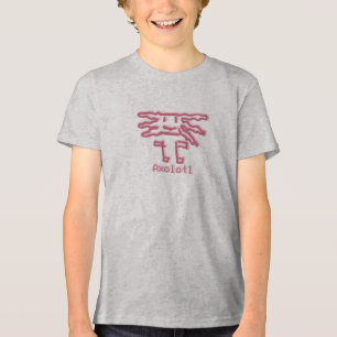 Axolotl by Álvaro Tri-Blend Shirt