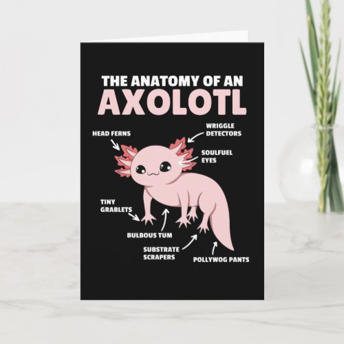 Axolotl Explanation Anatomy Of An Axolotl Card