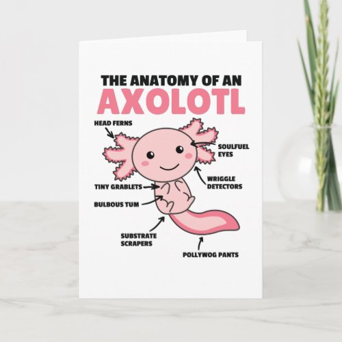 Axolotl Explanation Anatomy Of An Axolotl Card