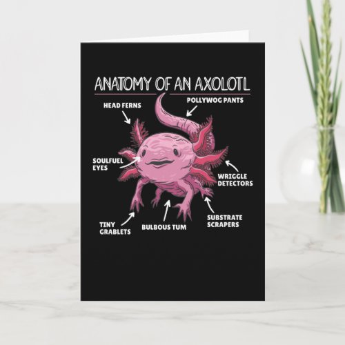 Axolotl Explanation Anatomy Of An Axolotl Card