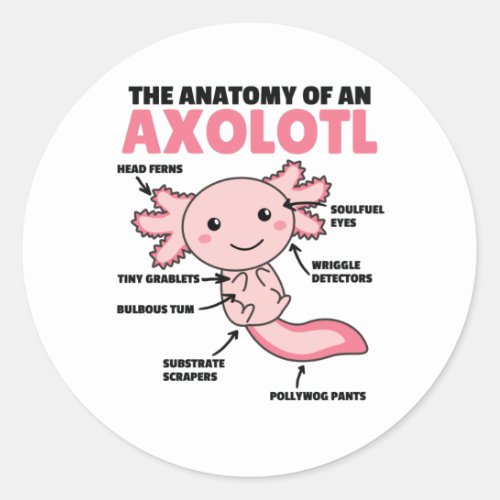 Axolotl Explanation Anatomy Of An Axolotl Classic Round Sticker