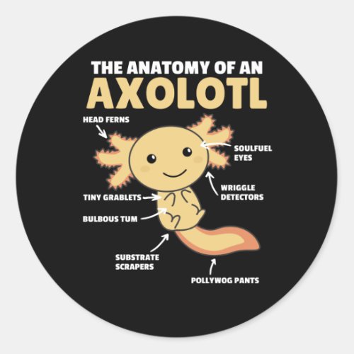 Axolotl Explanation Anatomy Of An Axolotl Classic Round Sticker