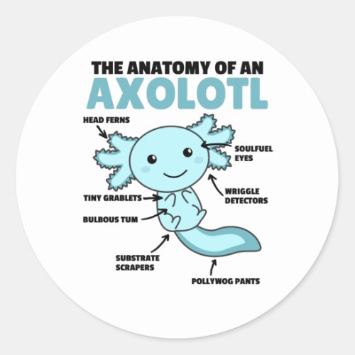 Axolotl Explanation Anatomy Of An Axolotl Classic Round Sticker
