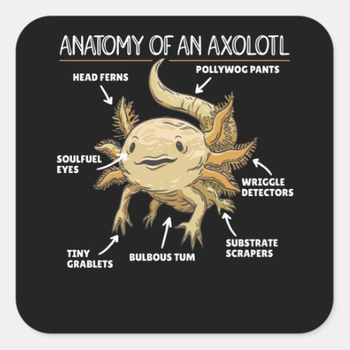 Axolotl Explanation Anatomy Of An Axolotl Square Sticker