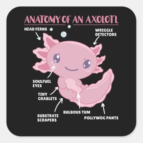 Axolotl Explanation Anatomy Of An Axolotl Square Sticker