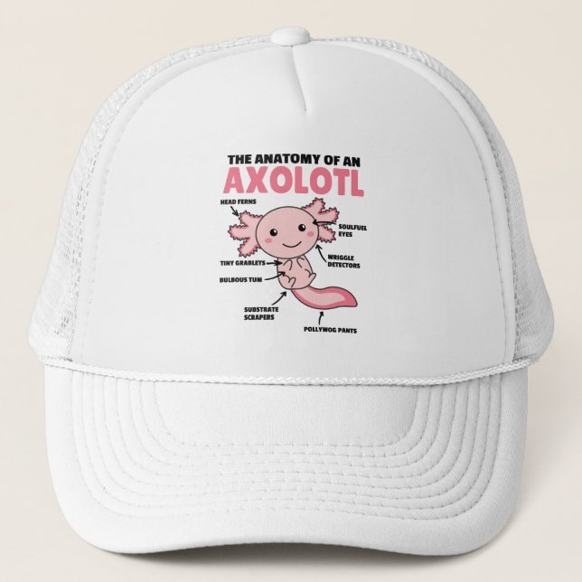 Axolotl Explanation Anatomy Of An Axolotl Trucker Hat (Front)