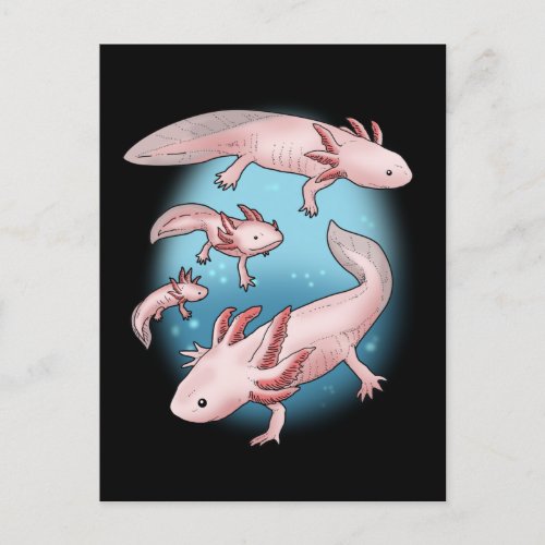 Axolotl Gift Kids Kawaii Axolotl Gifts Men Axolotl Postcard