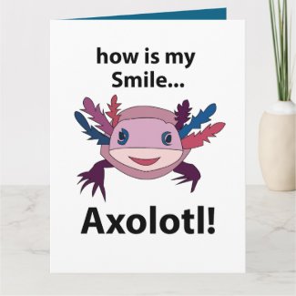 Axolotl How Is My Smile Funny Axolotl 