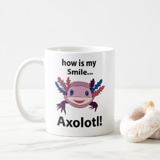 Axolotl How Is My Smile Funny Axolotl 