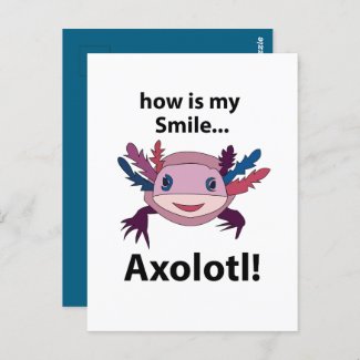 Axolotl How Is My Smile Funny Axolotl 