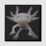 Axolotl Magnet<br><div class="desc">Axolotl Square magnet</div>