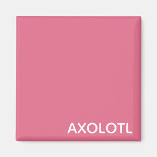 Axolotl pink color magnet