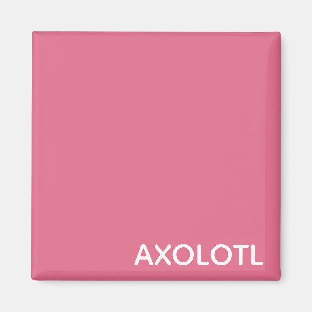 Axolotl pink color magnet (Front)