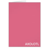 Axolotl pink color name (Front)