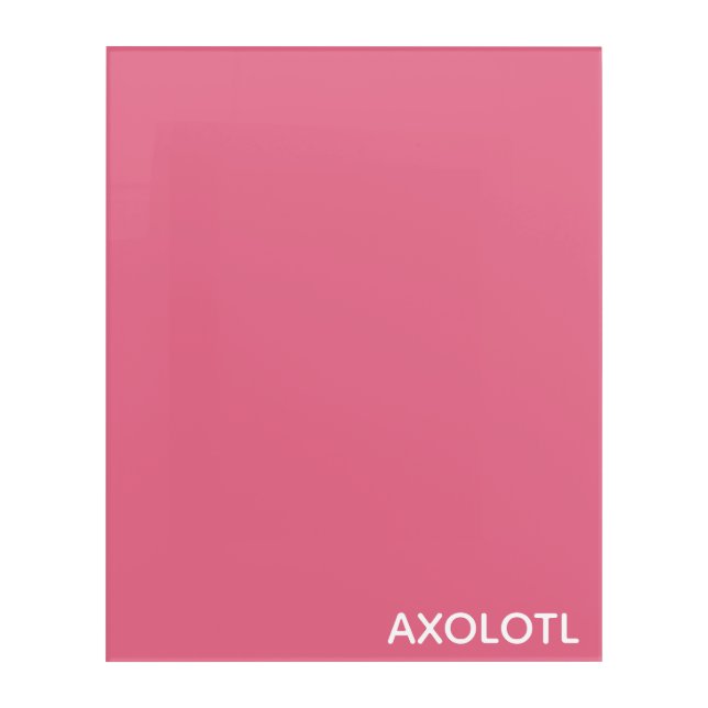 Axolotl pink color name acrylic print (Front)