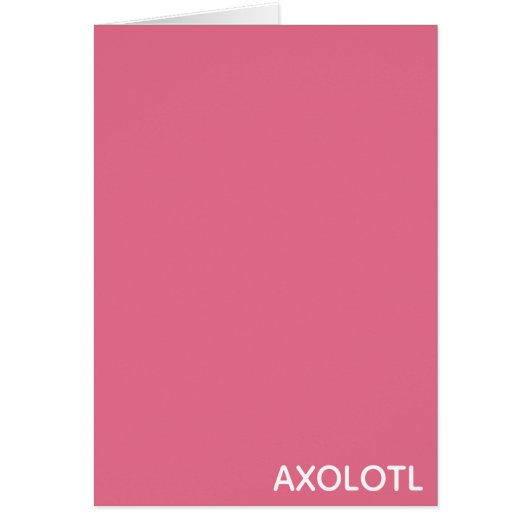 Axolotl pink color name cards (Front)