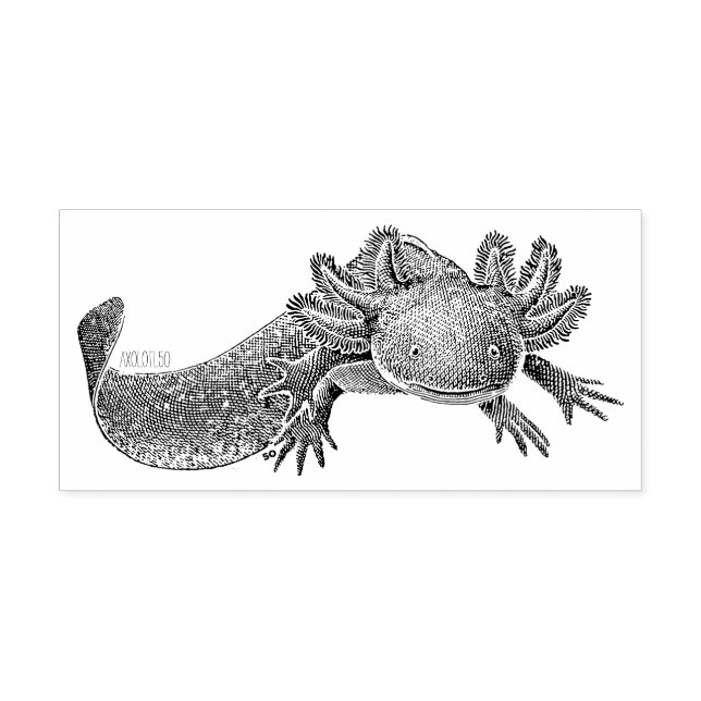 Axolotl Rubber Stamp (Imprint)