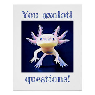 Axolotl Salamander Amphibian Poster