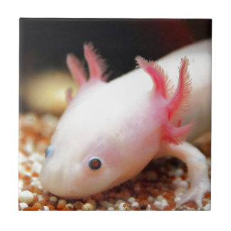 Axolotl Weiling Ceramic Tile