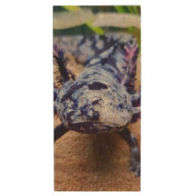 Axolotl Wood Flash Drive