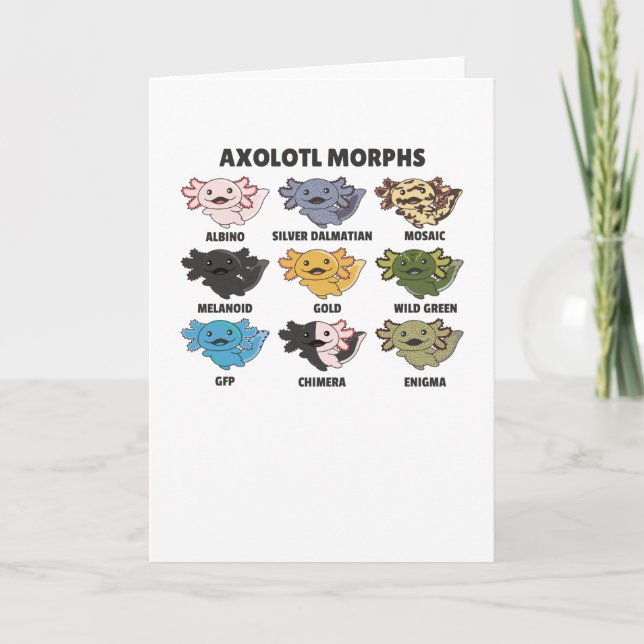 Axolotls From The World Sweet Animals Axolotl Card (Front)