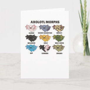 Axolotls From The World Sweet Animals Axolotl Card