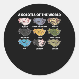 Axolotls From The World Sweet Animals Axolotl Classic Round Sticker