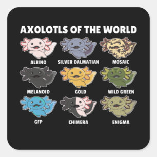 Axolotls From The World Sweet Animals Axolotl Squa Square Sticker