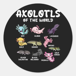 Axolotls Of The World Cute Kawaii Axolotl Lover Oc Classic Round Sticker