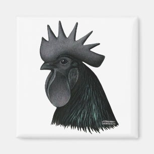 Ayam Cemani Rooster Head Magnet