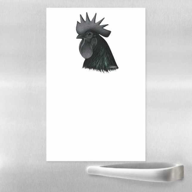 Ayam Cemani Rooster Head Magnetic Dry Erase Sheet (In Situ)