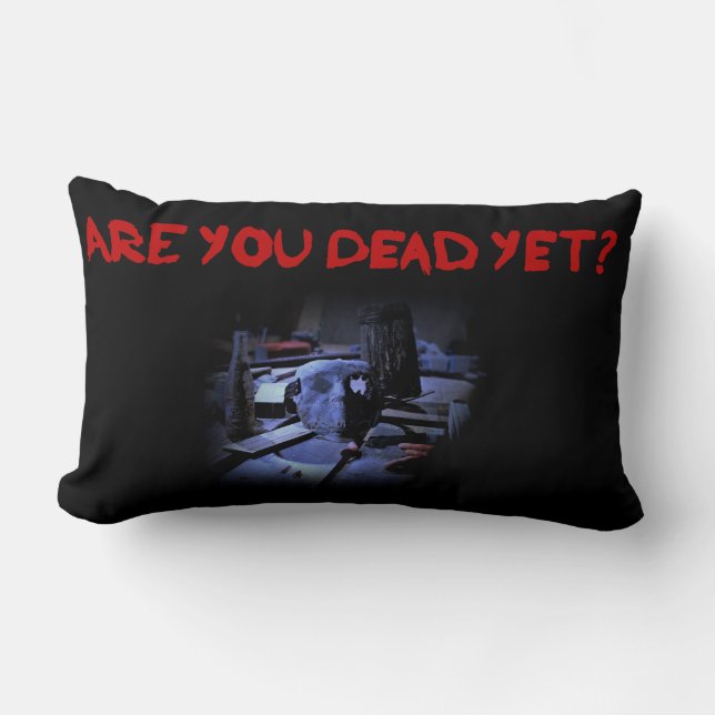 AYDY Lumbar Pillow (Front)