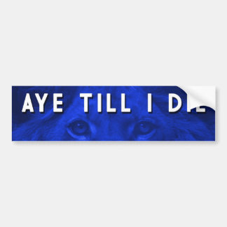 AYE TILL I DIE BUMPER STICKER