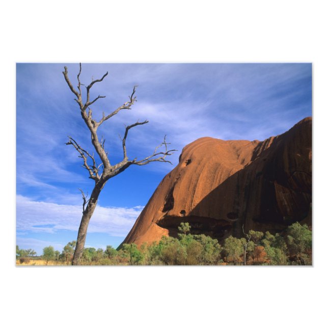 Ayers Rock Uluru in the Outback Australia Photo Print (Front)