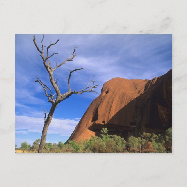 Ayers Rock Uluru in the Outback Australia Postcard (Front)