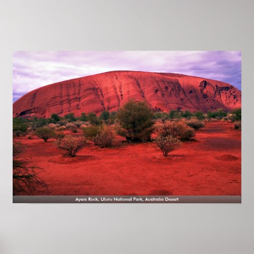 Ayers Rock Uluru National Park Australia Desert Poster