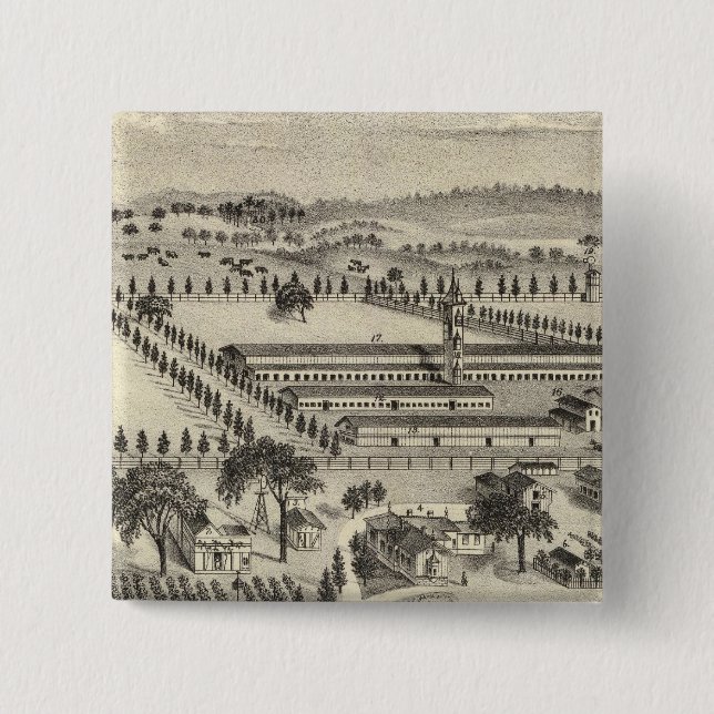 Ayrshire Farm Button (Front)