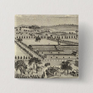 Ayrshire Farm Button