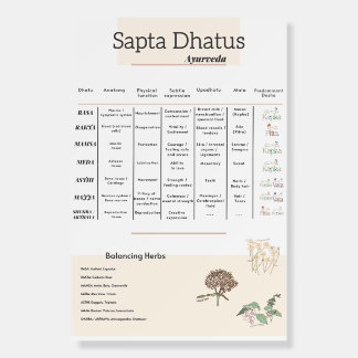 Ayurveda Seven dhatus poster