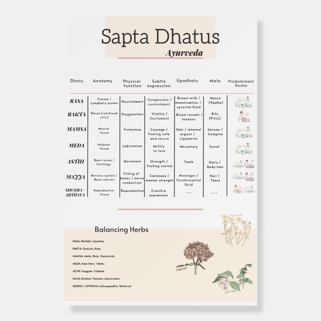 Ayurveda Seven dhatus poster (Front)