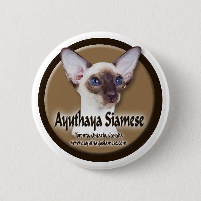 Ayuthaya Cage Sign Pinback Button (Front)