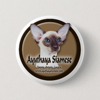 Ayuthaya Cage Sign Pinback Button