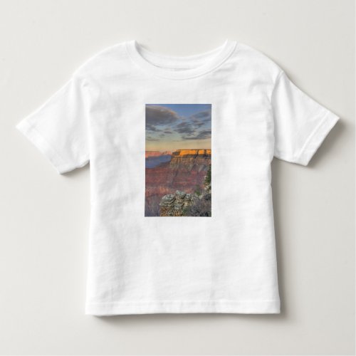 AZ Arizona Grand Canyon National Park South Toddler T_shirt