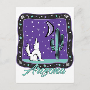 AZ-Coyote Postcard